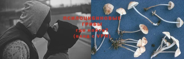 шишки Алексеевка